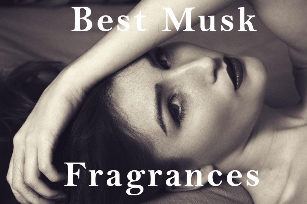 9 Best Musk Fragrances Top Scents For Men Country Club Fragrance Reviews 2687