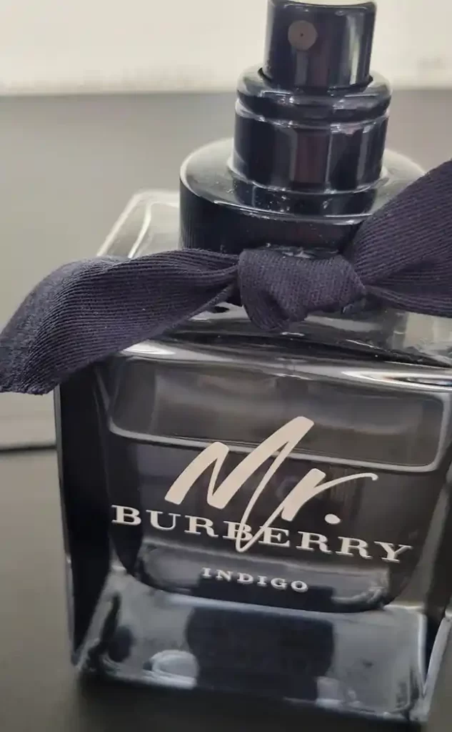 Mr Burberry Indigo