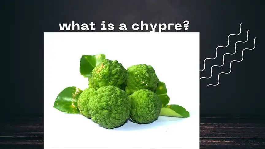 what is a chypre