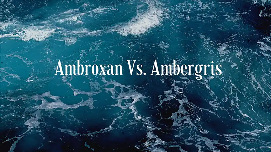ambroxan vs ambergris